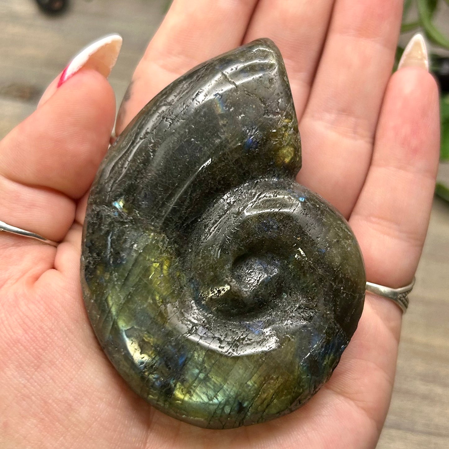 labradorite ammonite