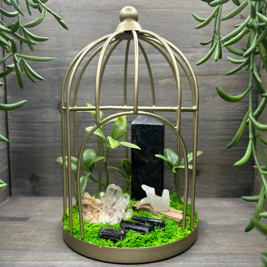 birdcage terrarium
