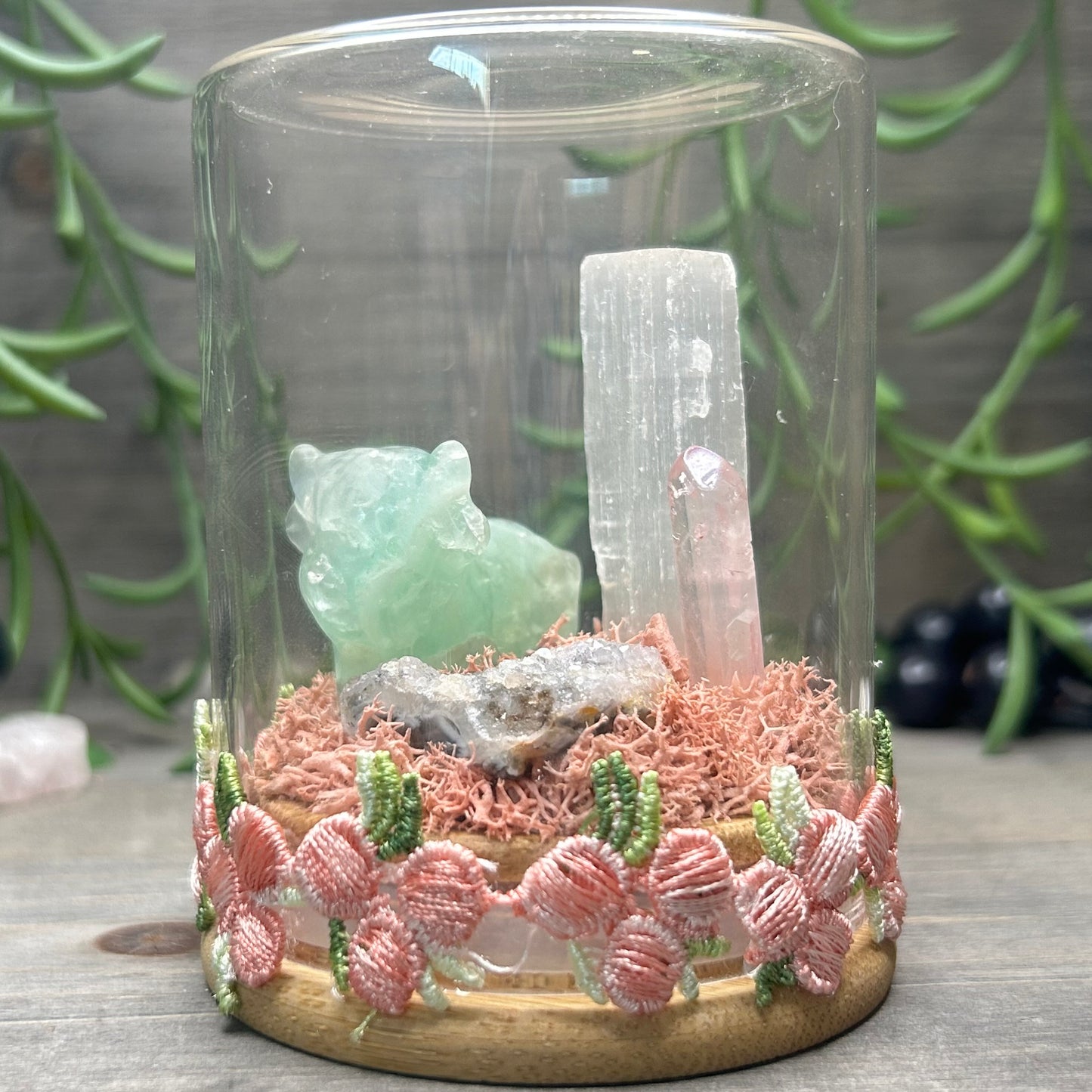 fluorite cow terrarium