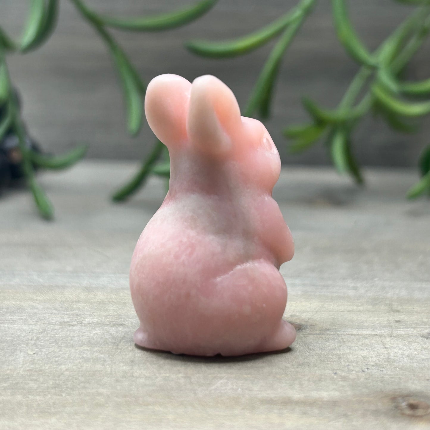 pink opal bunny