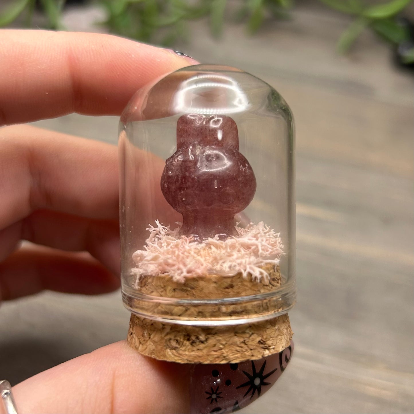 mini sanrio terrarium