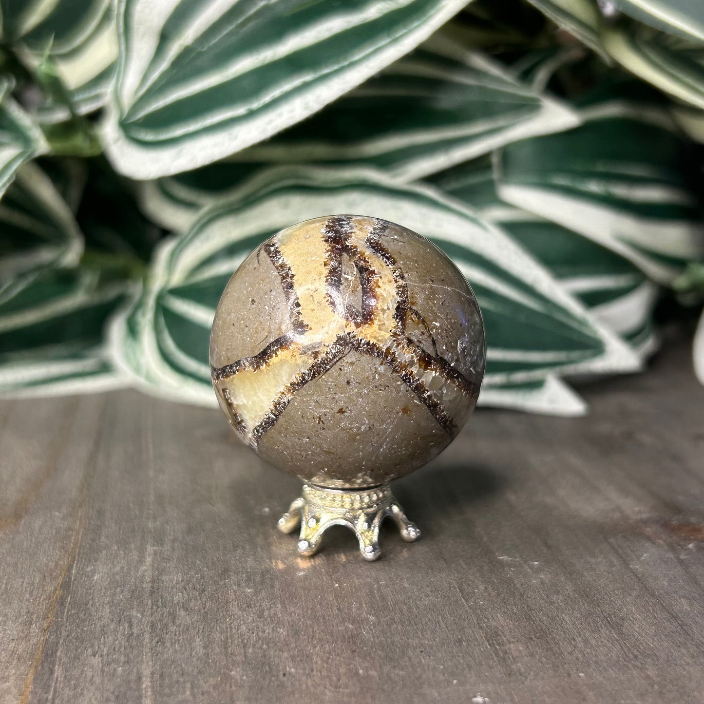 septarian sphere