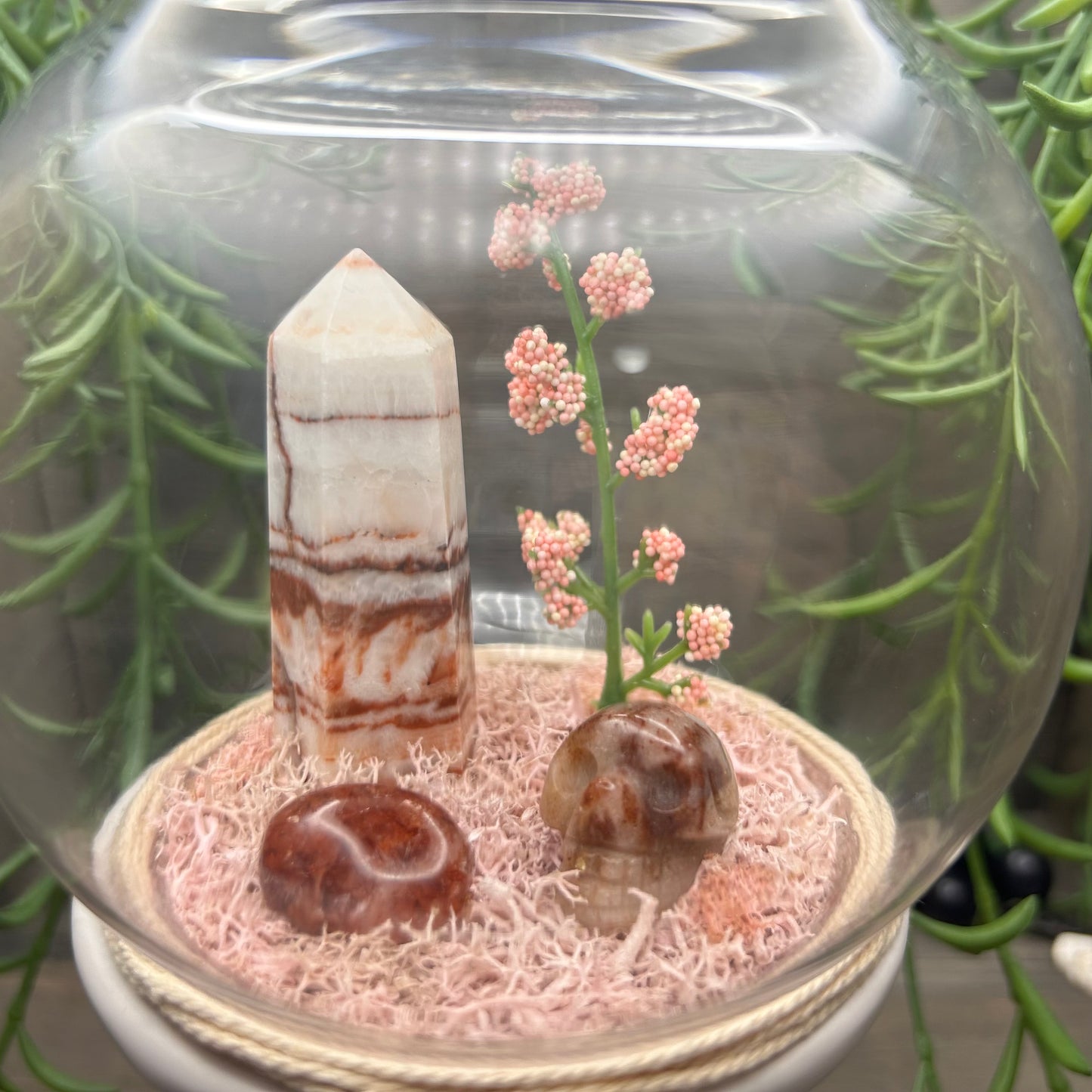 porkstone terrarium