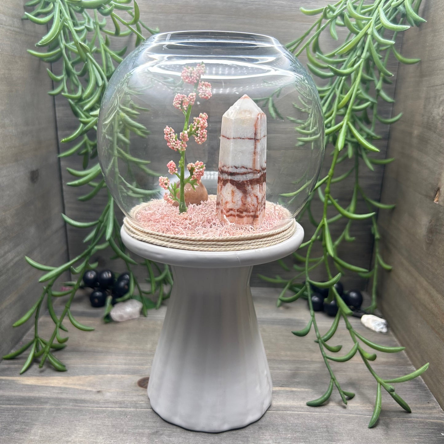 porkstone terrarium