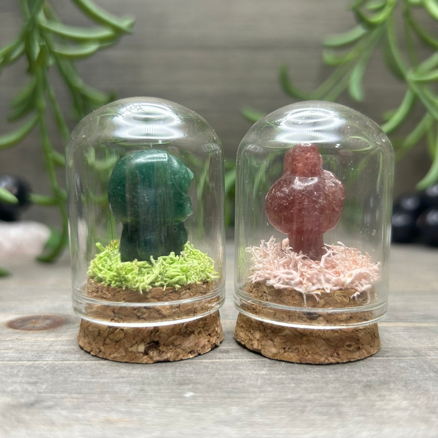 mini sanrio terrarium