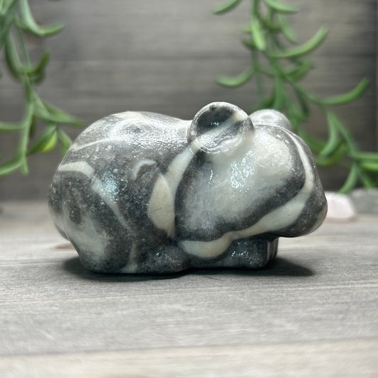 thousand eye jasper mouse