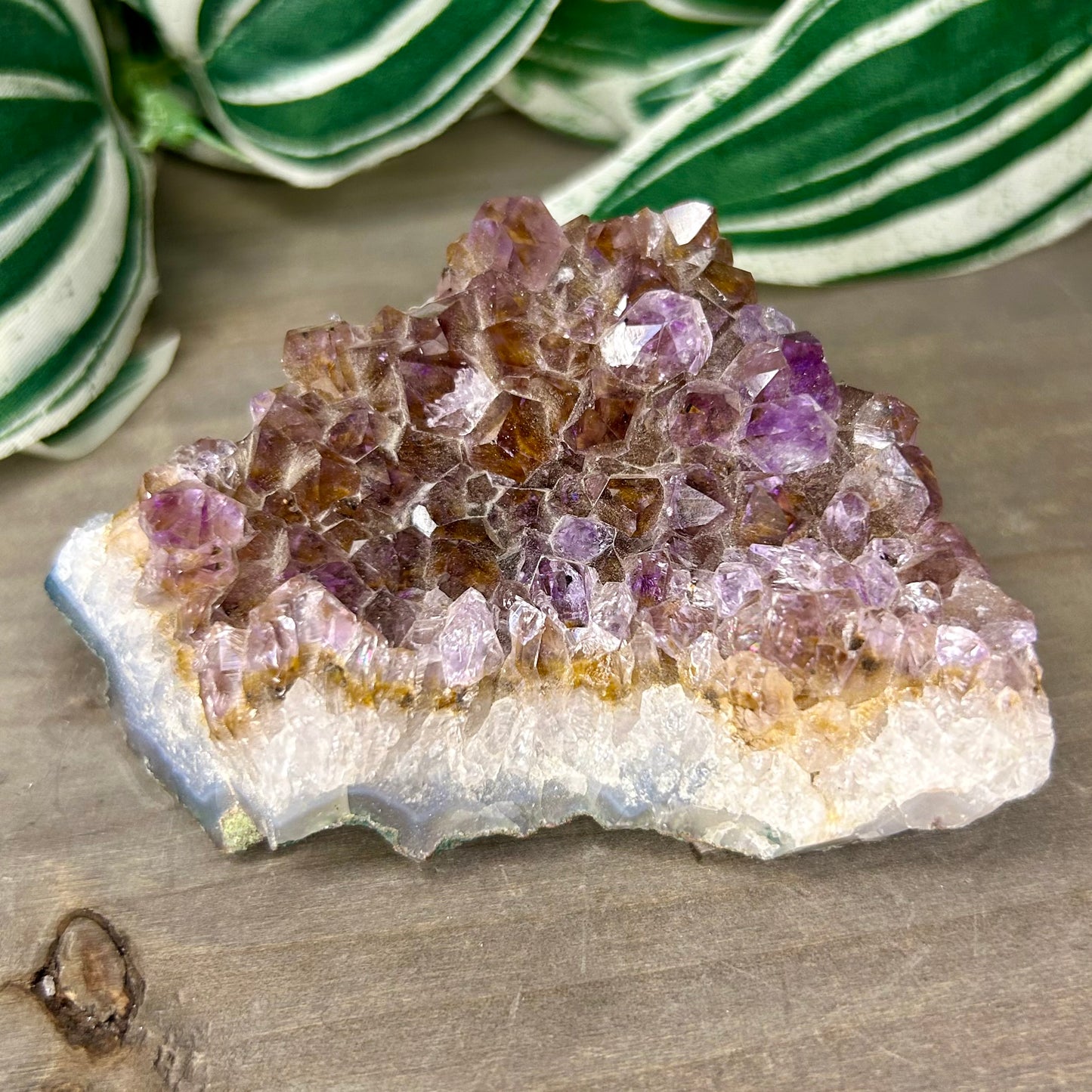 amethyst cluster