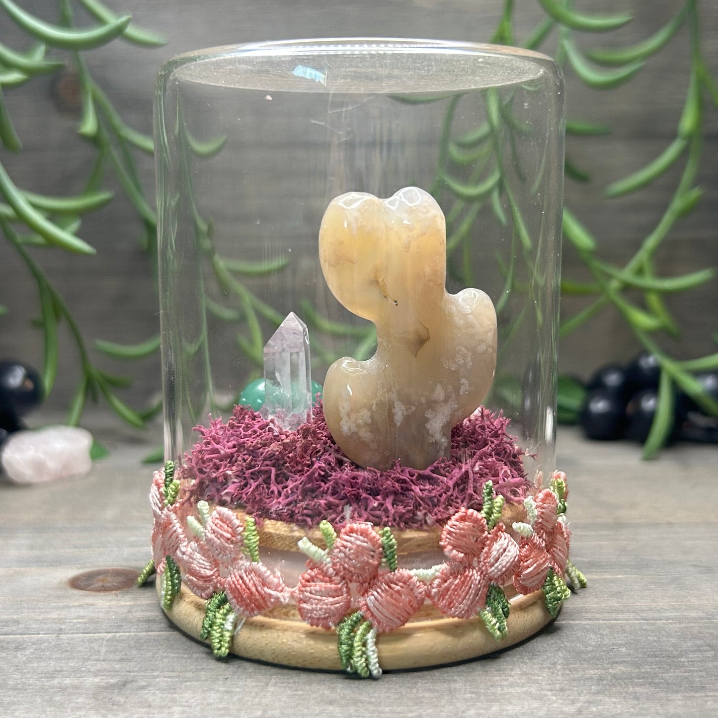 flower agate cactus terrarium