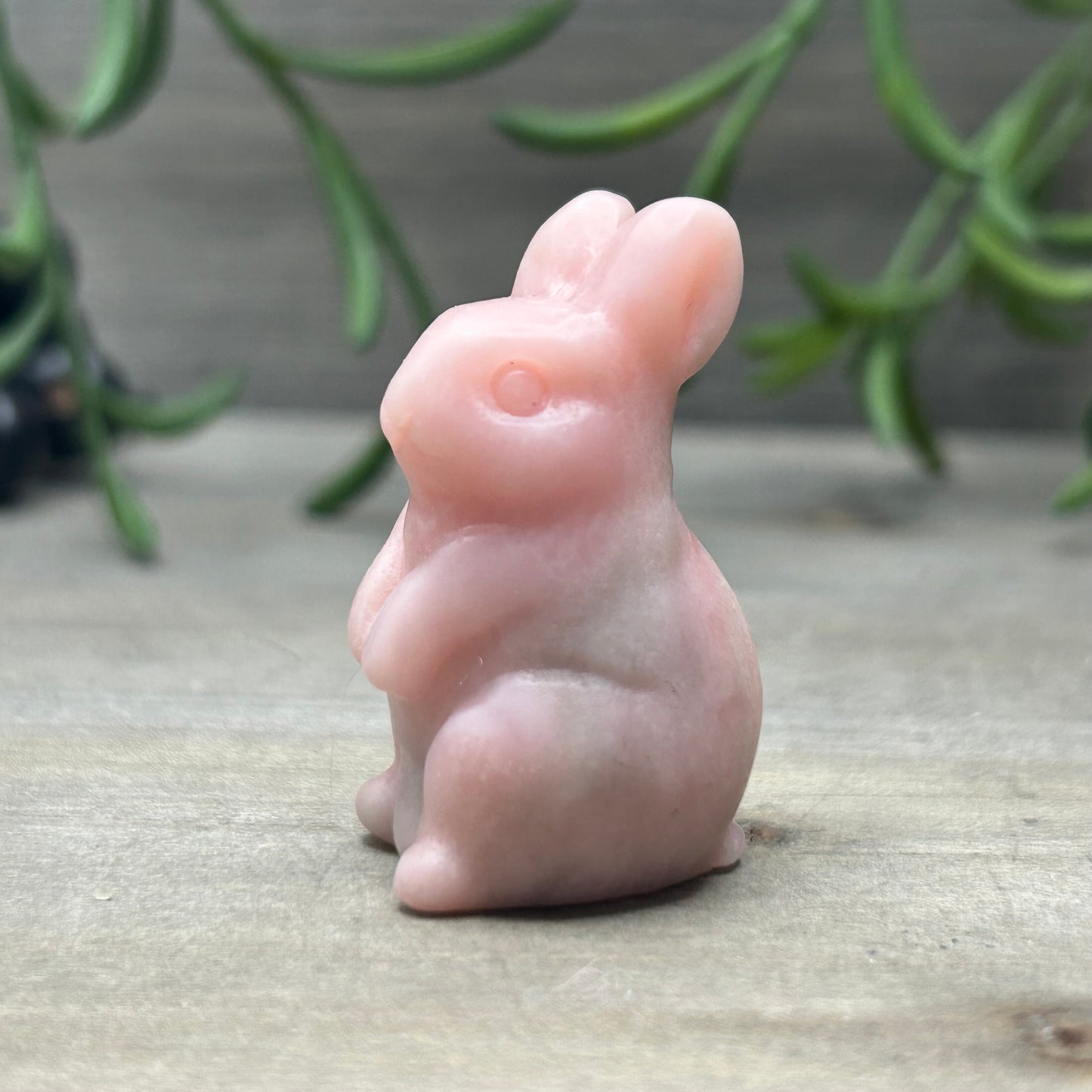 pink opal bunny