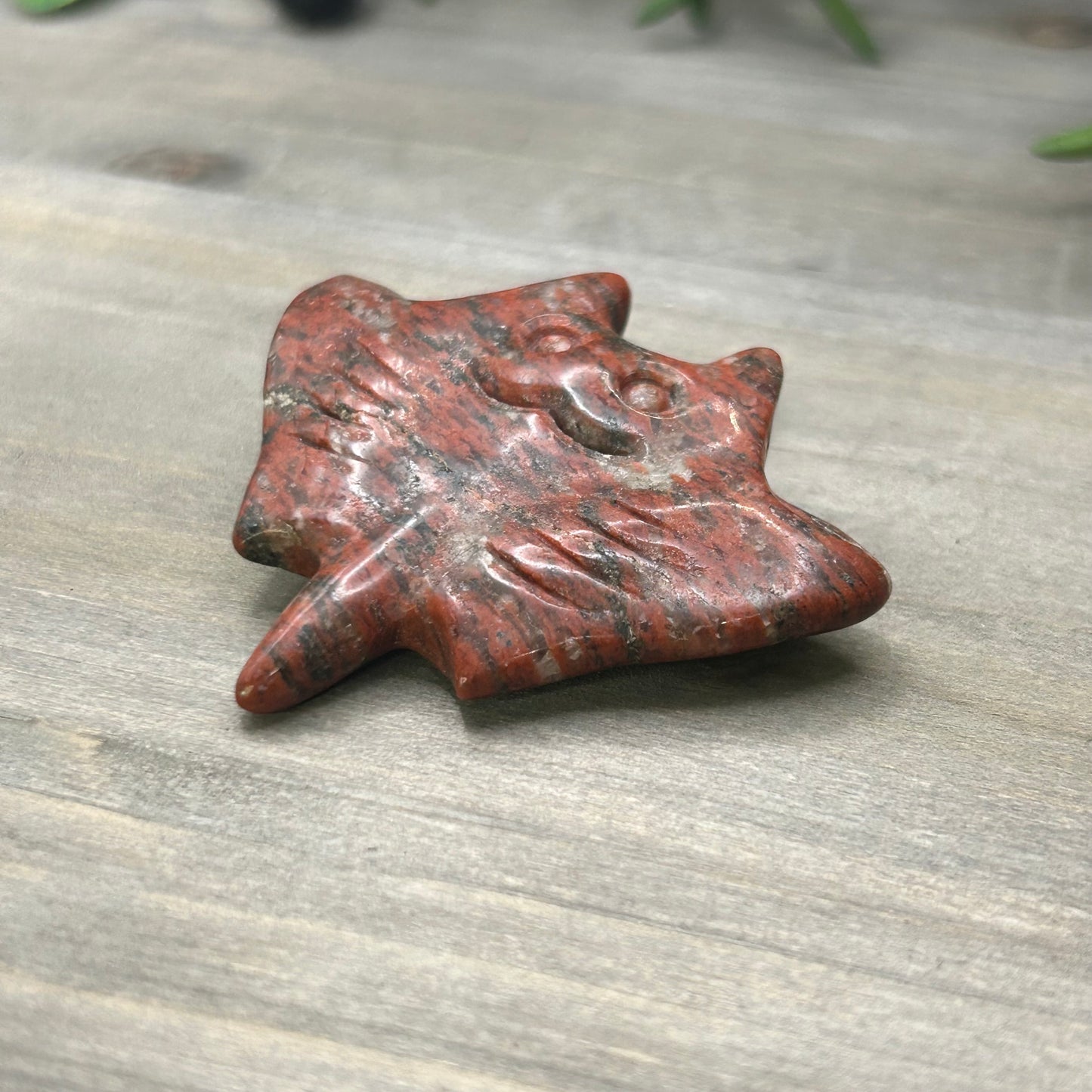 red jasper sting ray