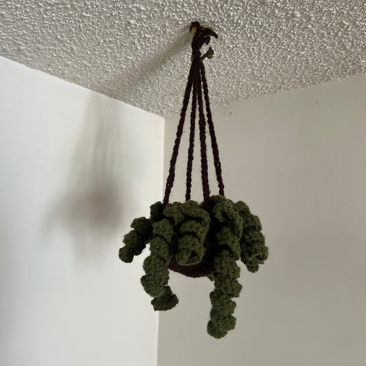 crochet twisty plant