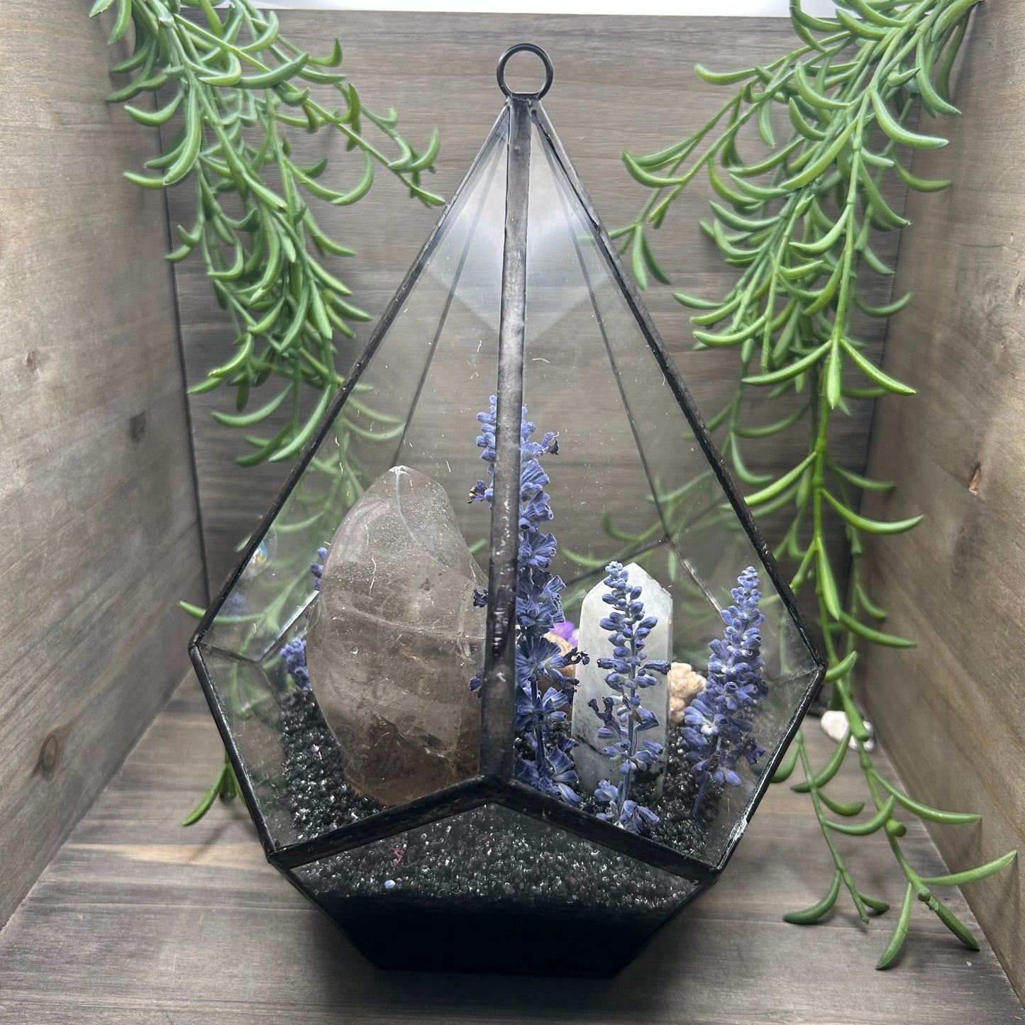 XL terrarium