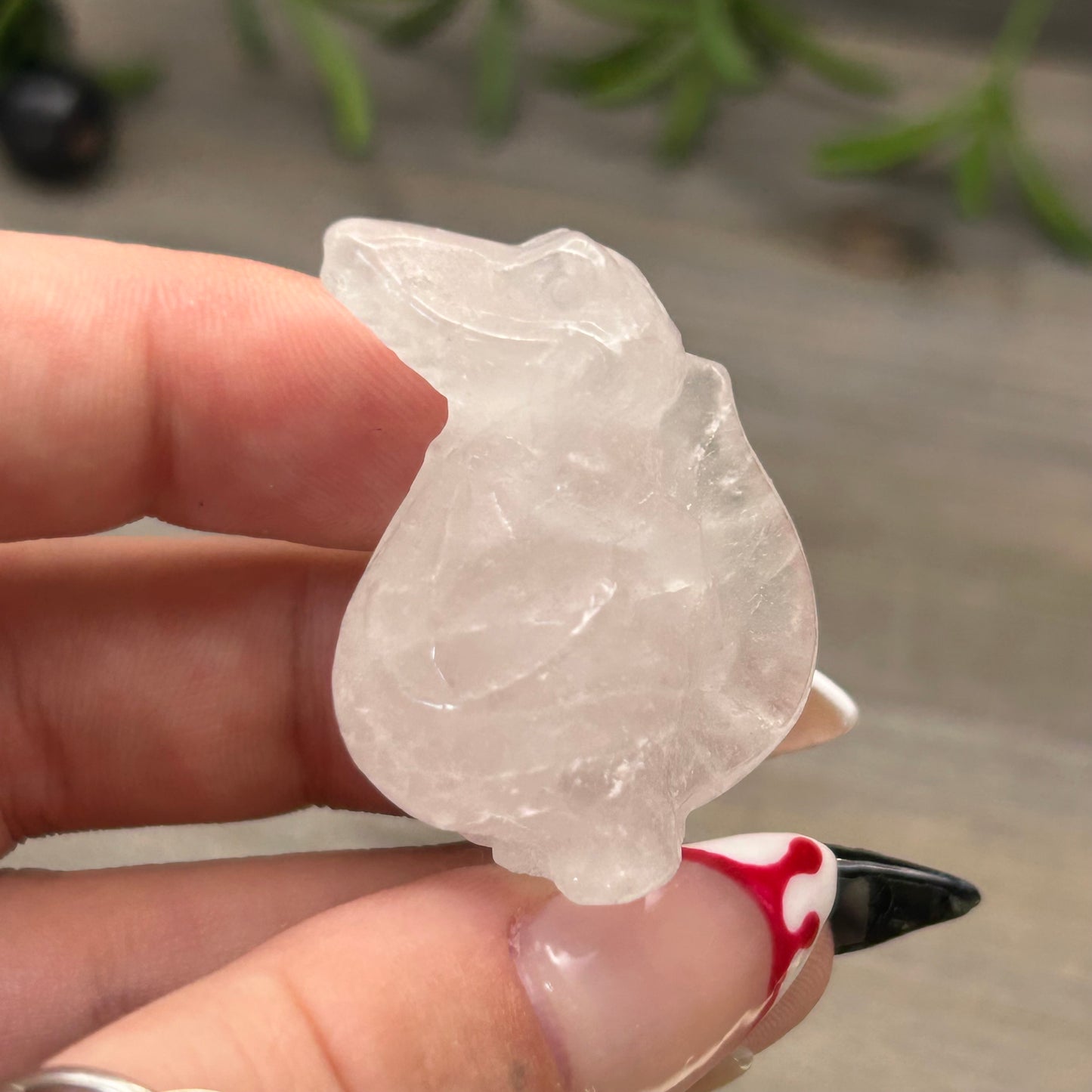 clear quartz alligator