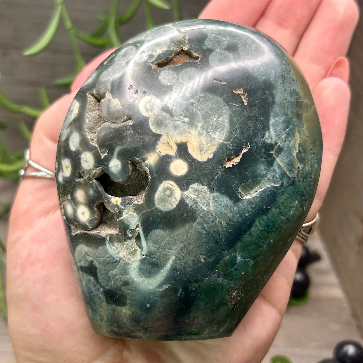 ocean jasper freeform