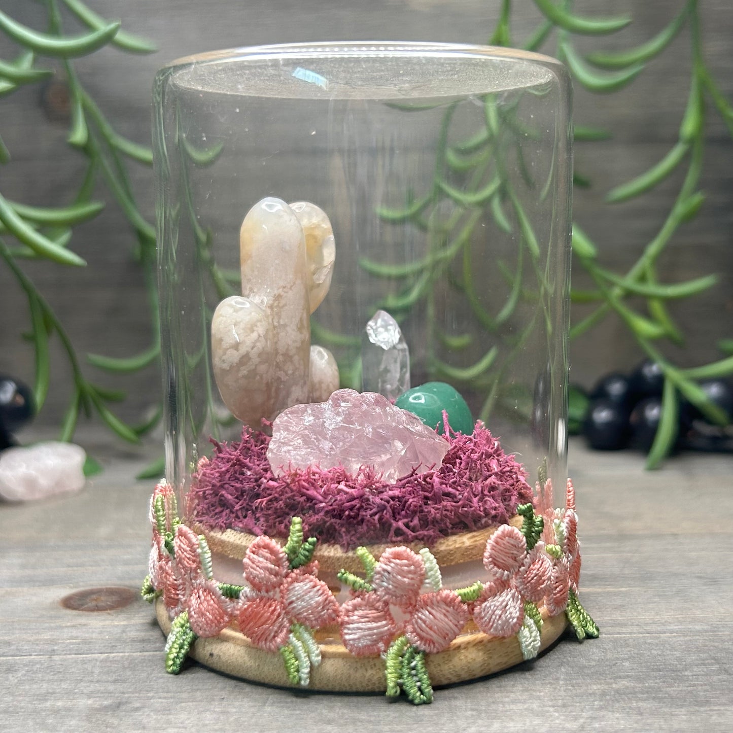 flower agate cactus terrarium