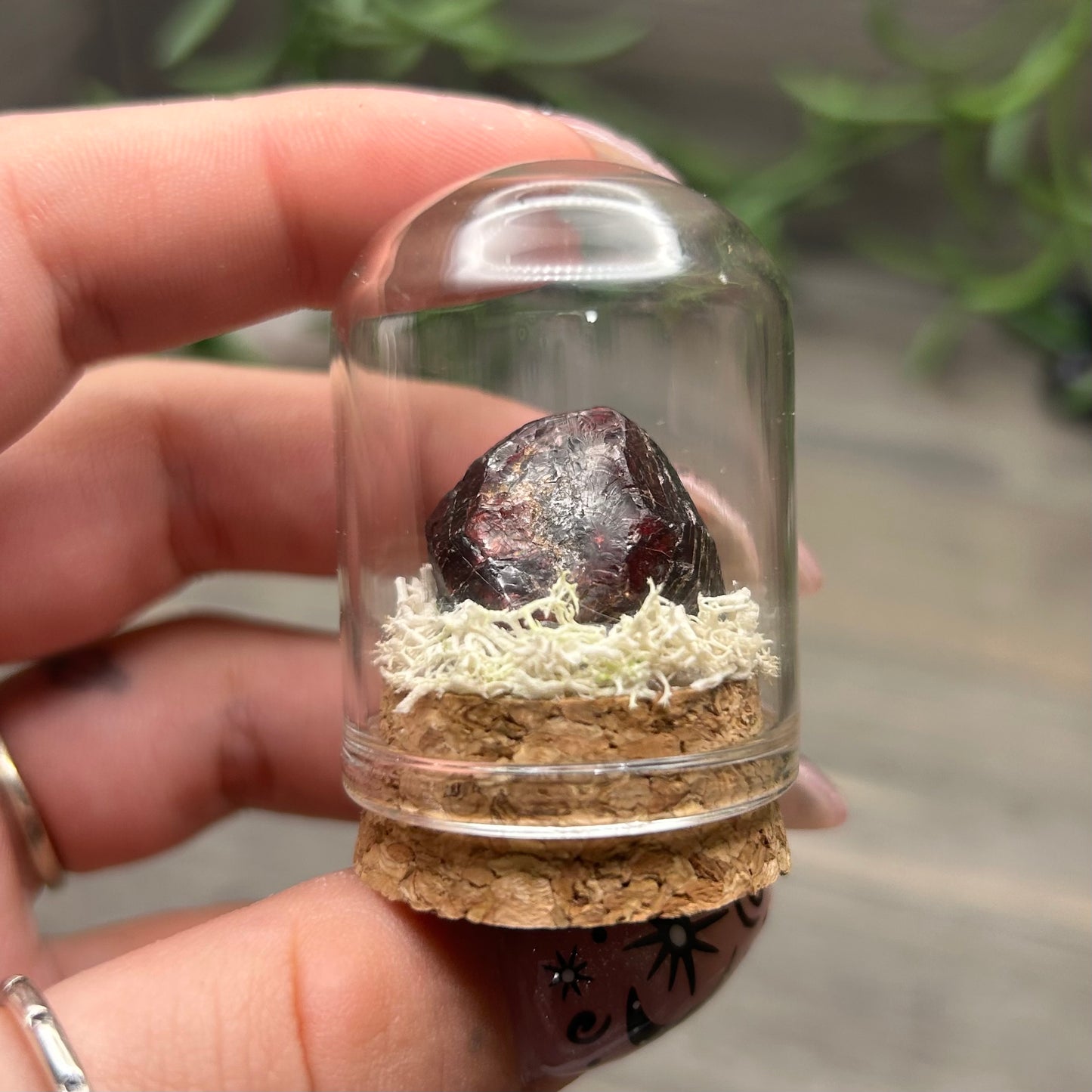 mini garnet terrarium