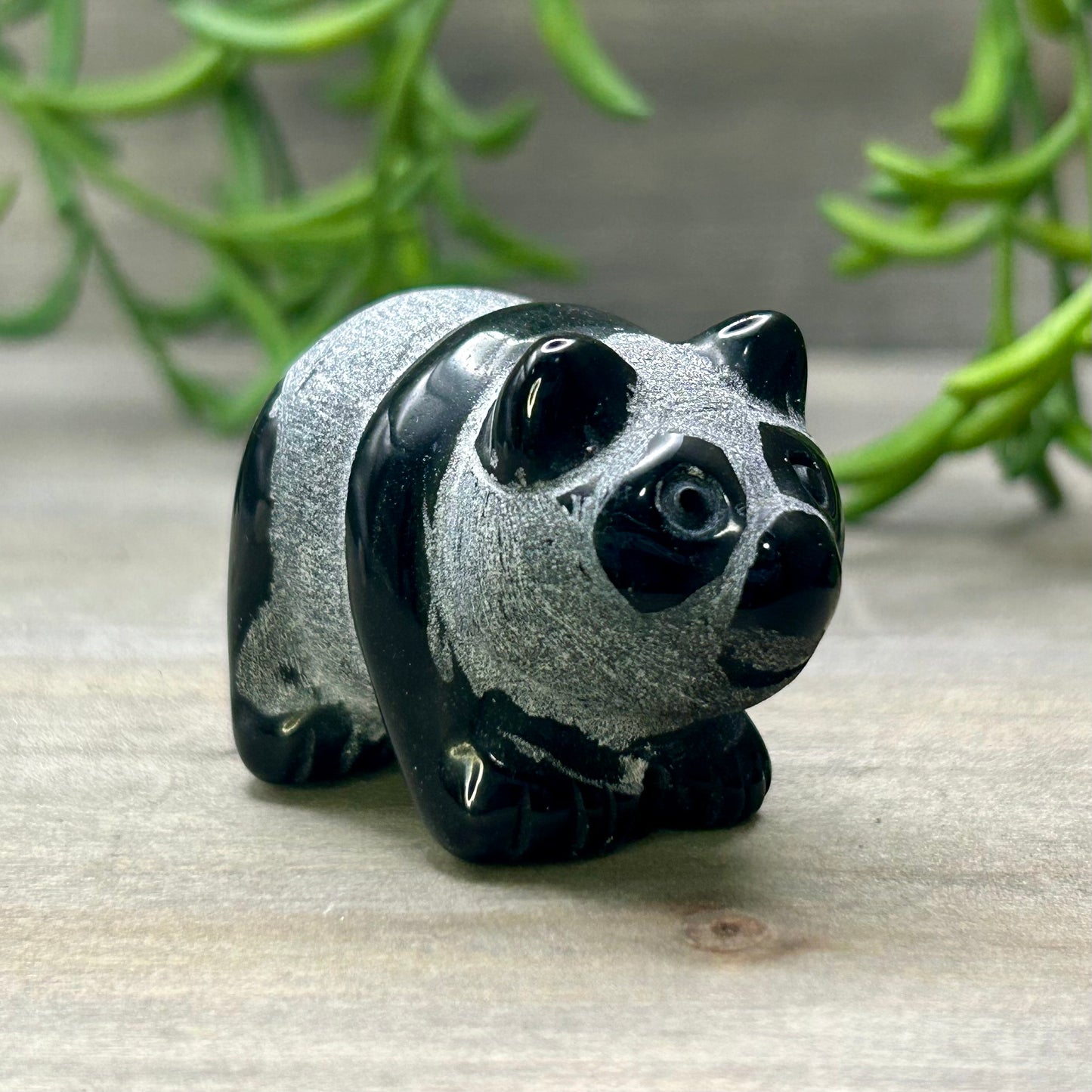 obsidian panda