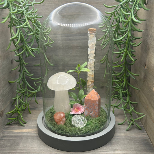selenite mushroom terrarium