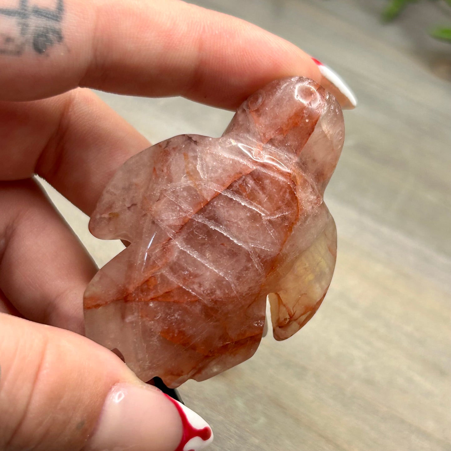 fire quartz turtle