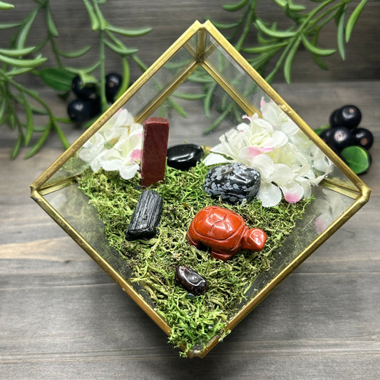 turtle cube terrarium