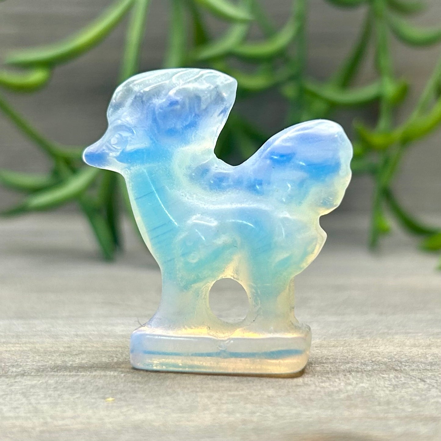 opalite Ponyta