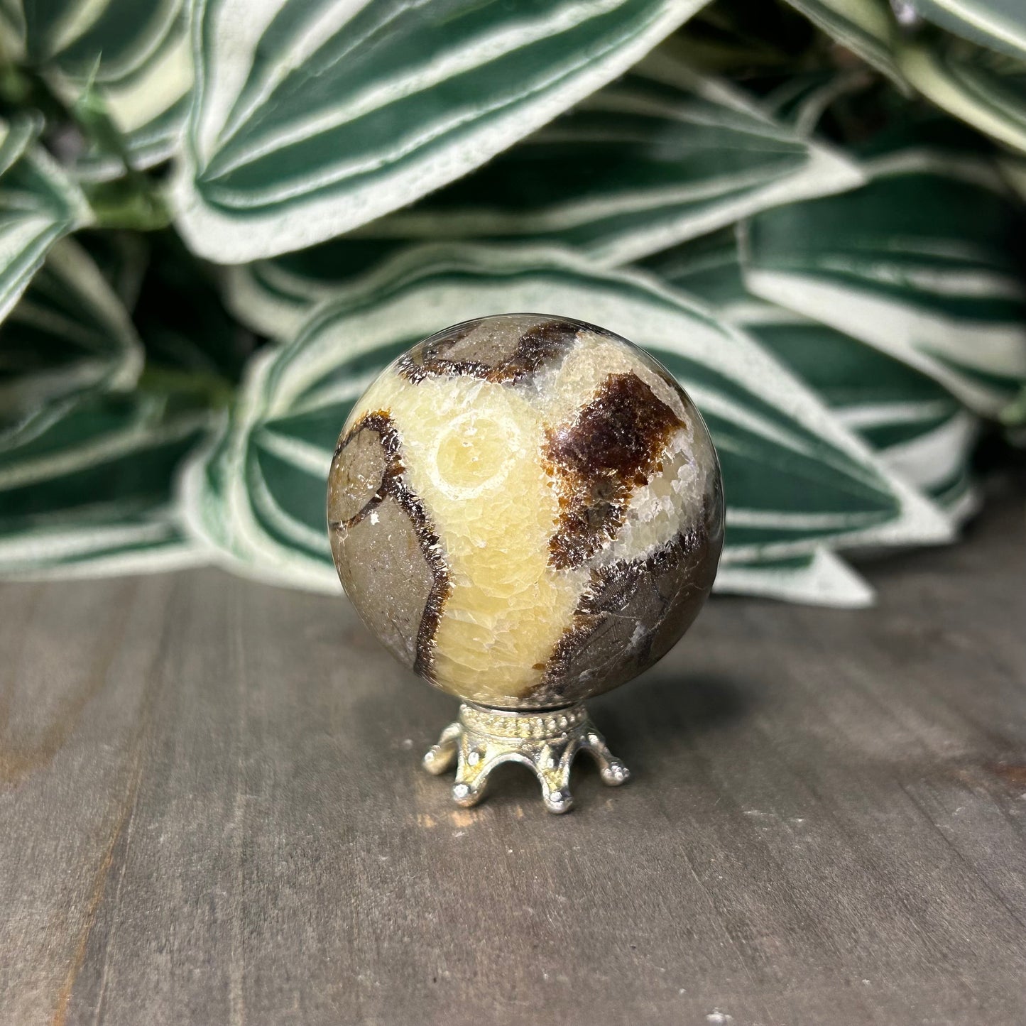 septarian sphere