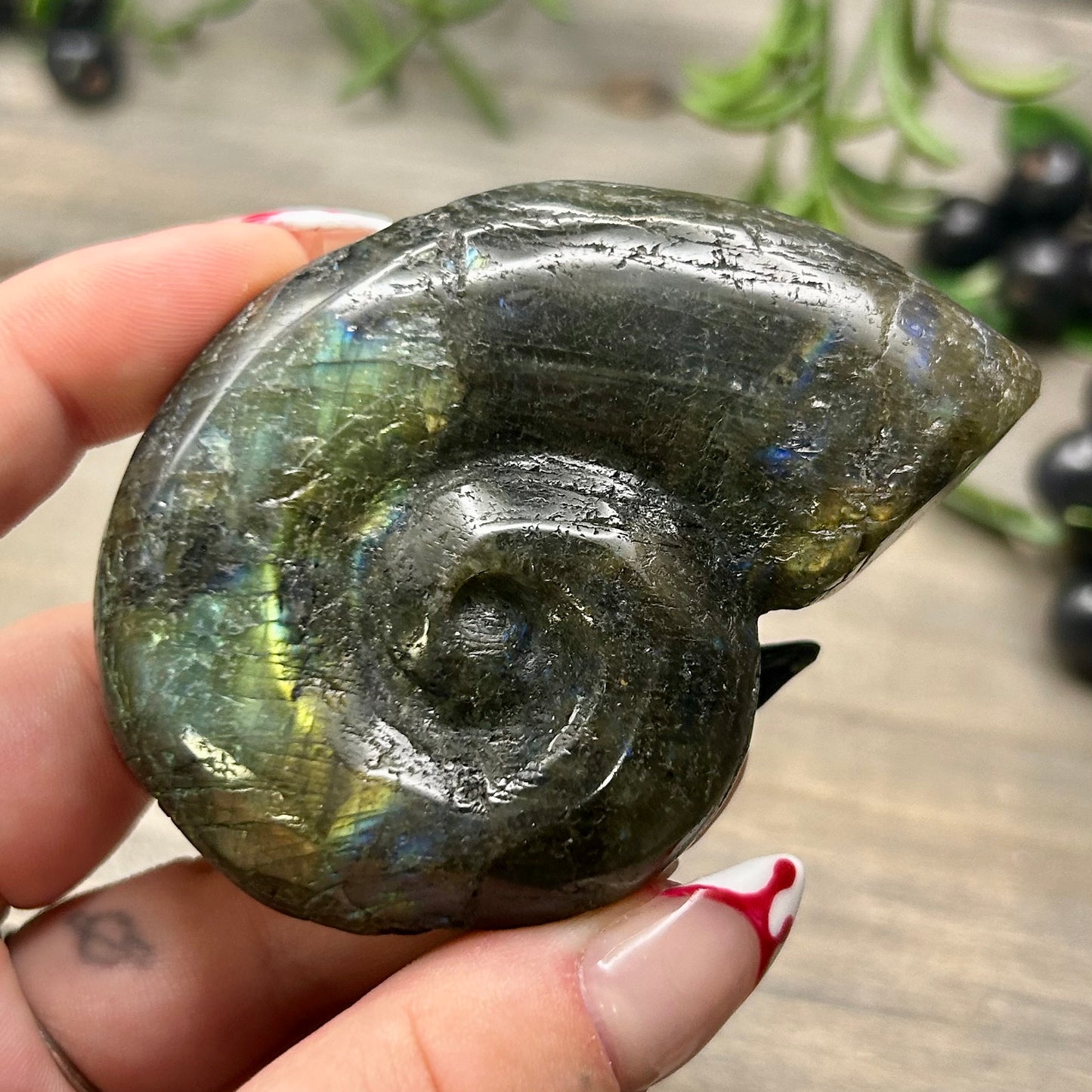 labradorite ammonite