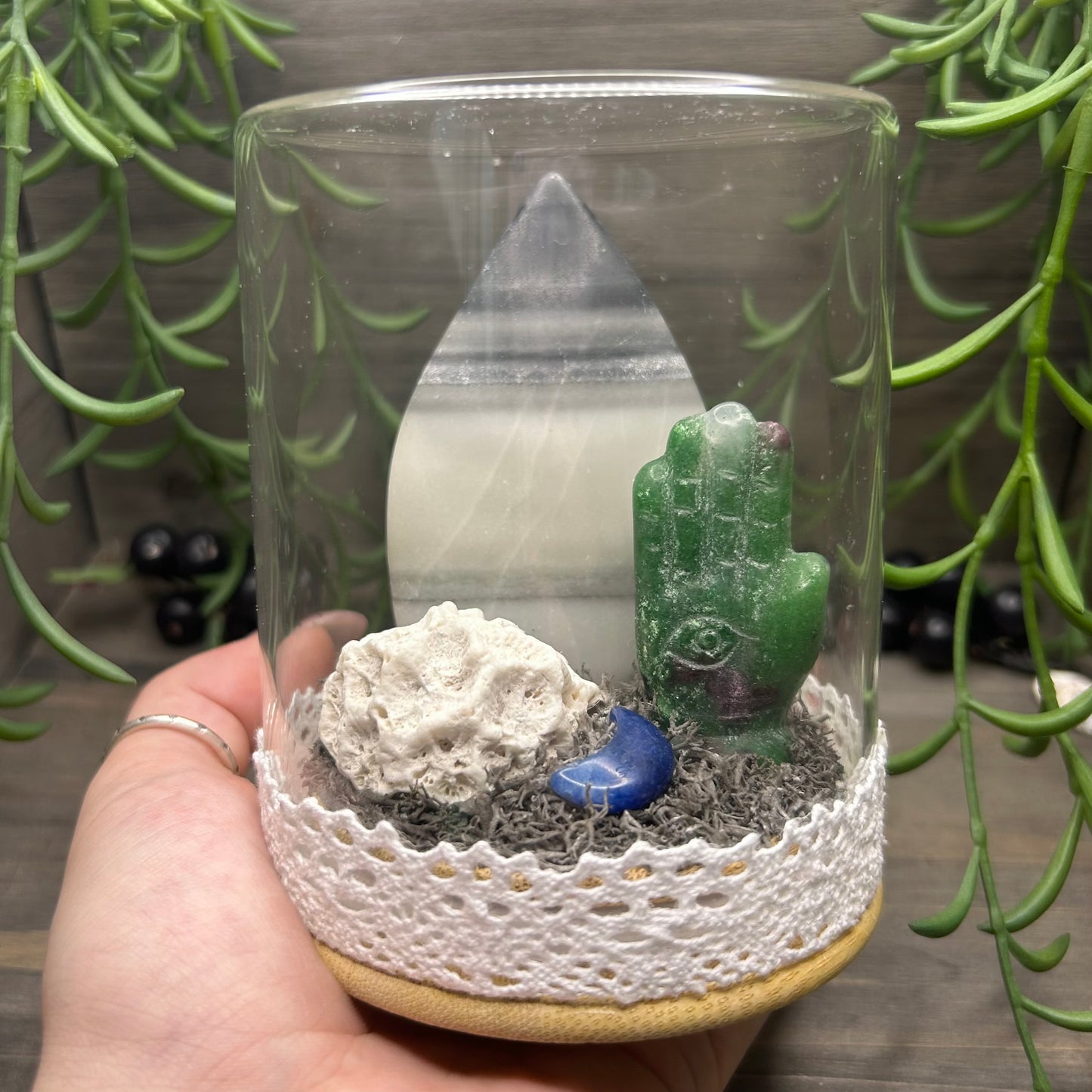 taiji terrarium