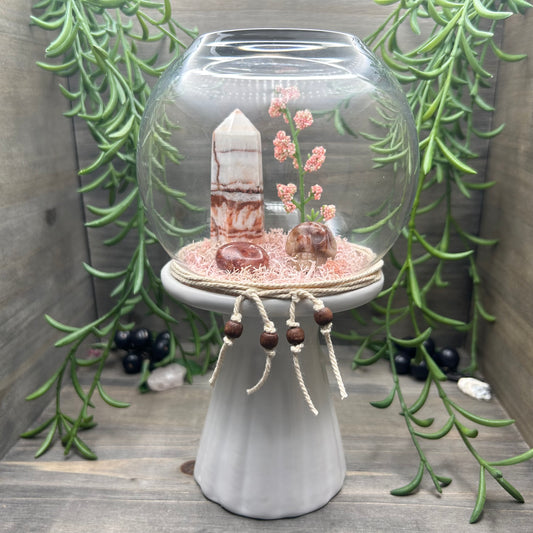 porkstone terrarium