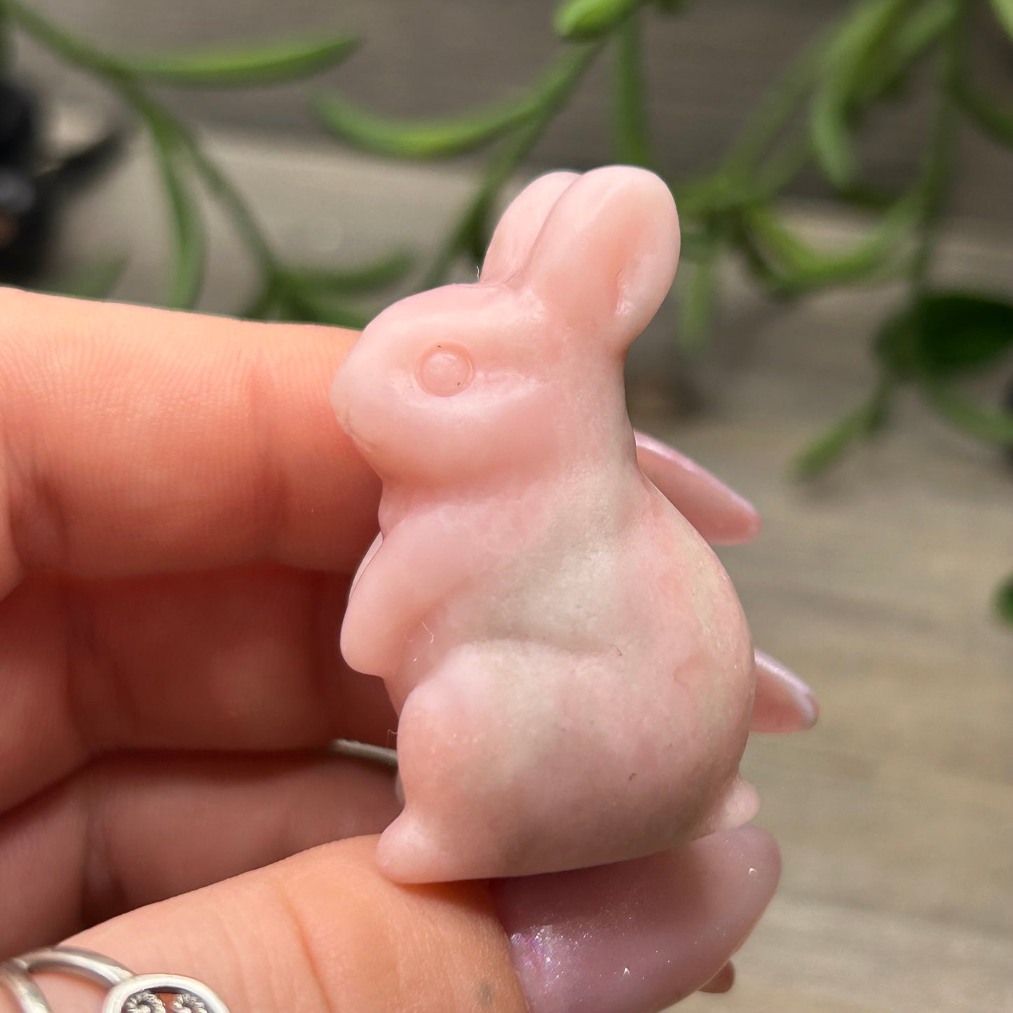 pink opal bunny