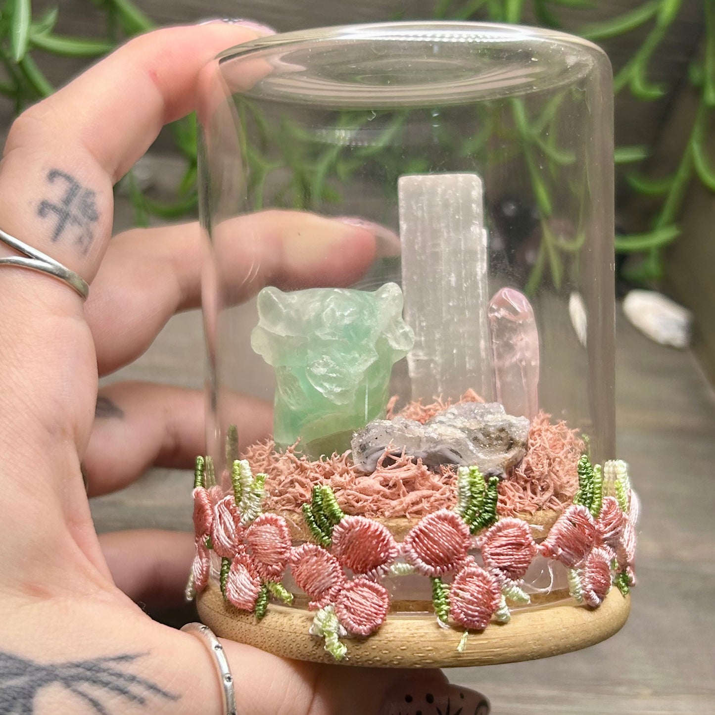 fluorite cow terrarium