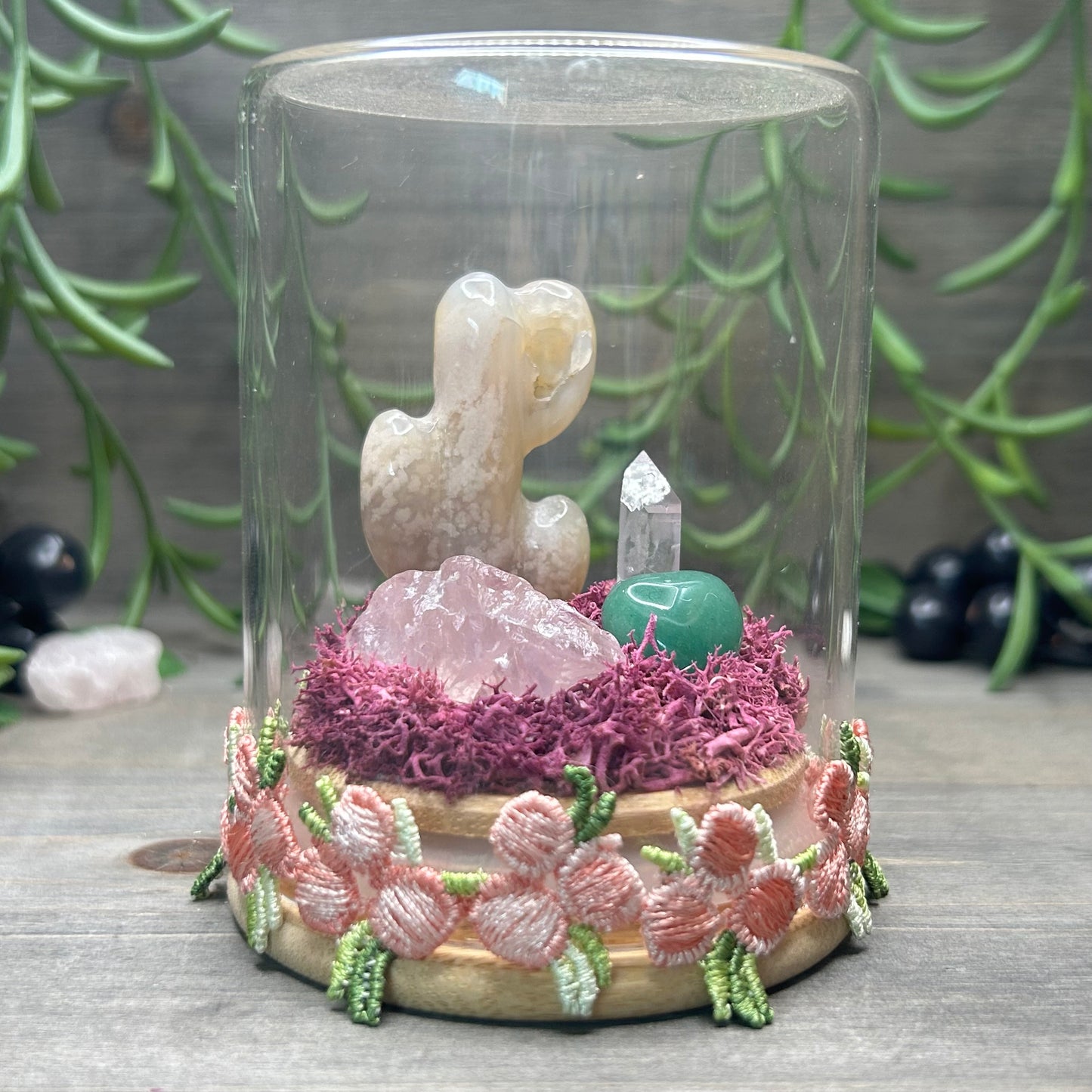 flower agate cactus terrarium