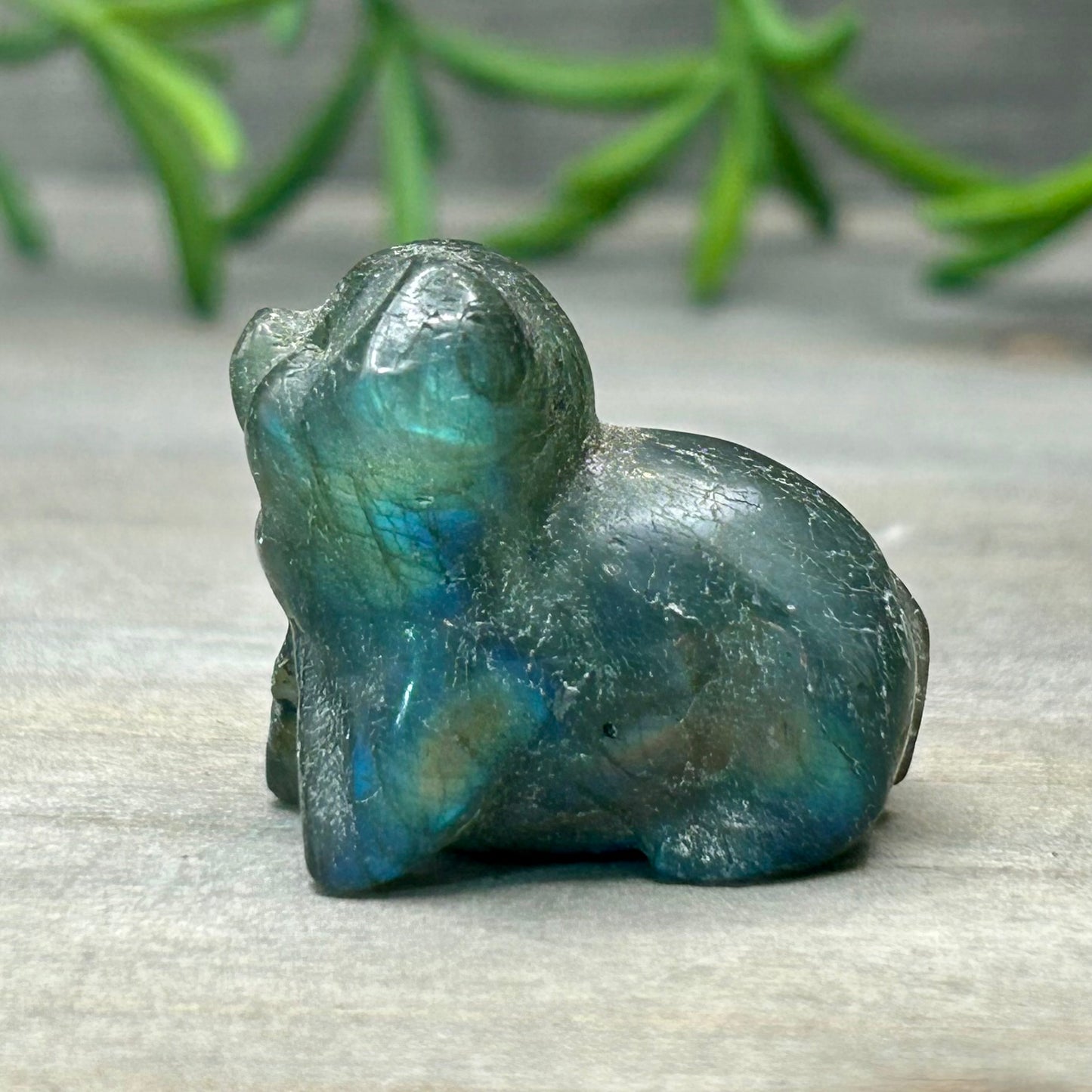 labradorite pig