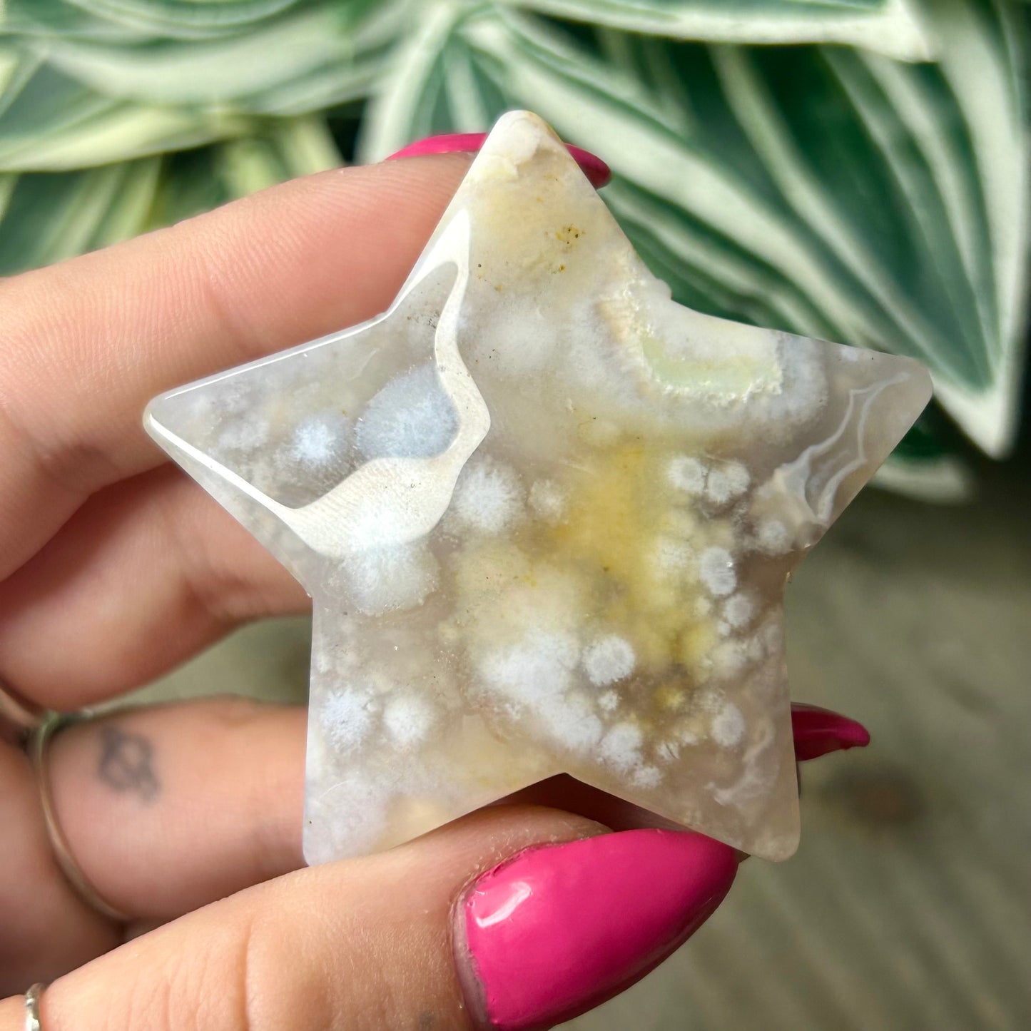 flower agate star