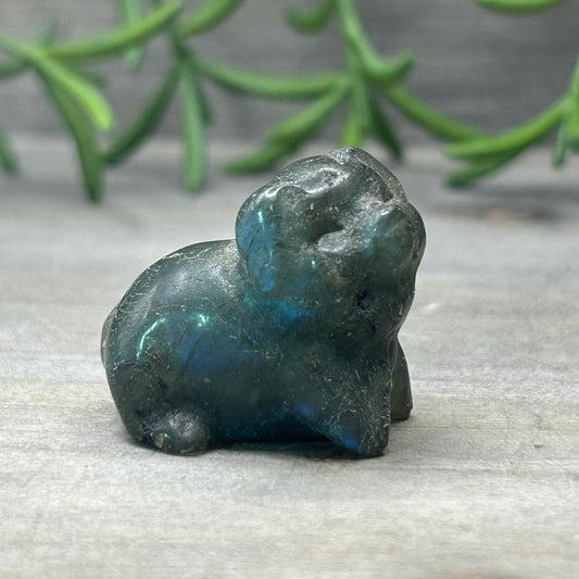 labradorite pig