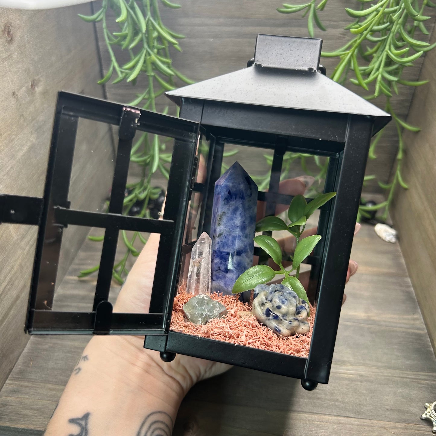 sodalite lantern terrarium