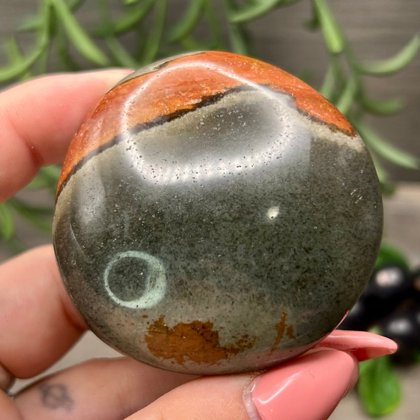 polychrome jasper palm stone