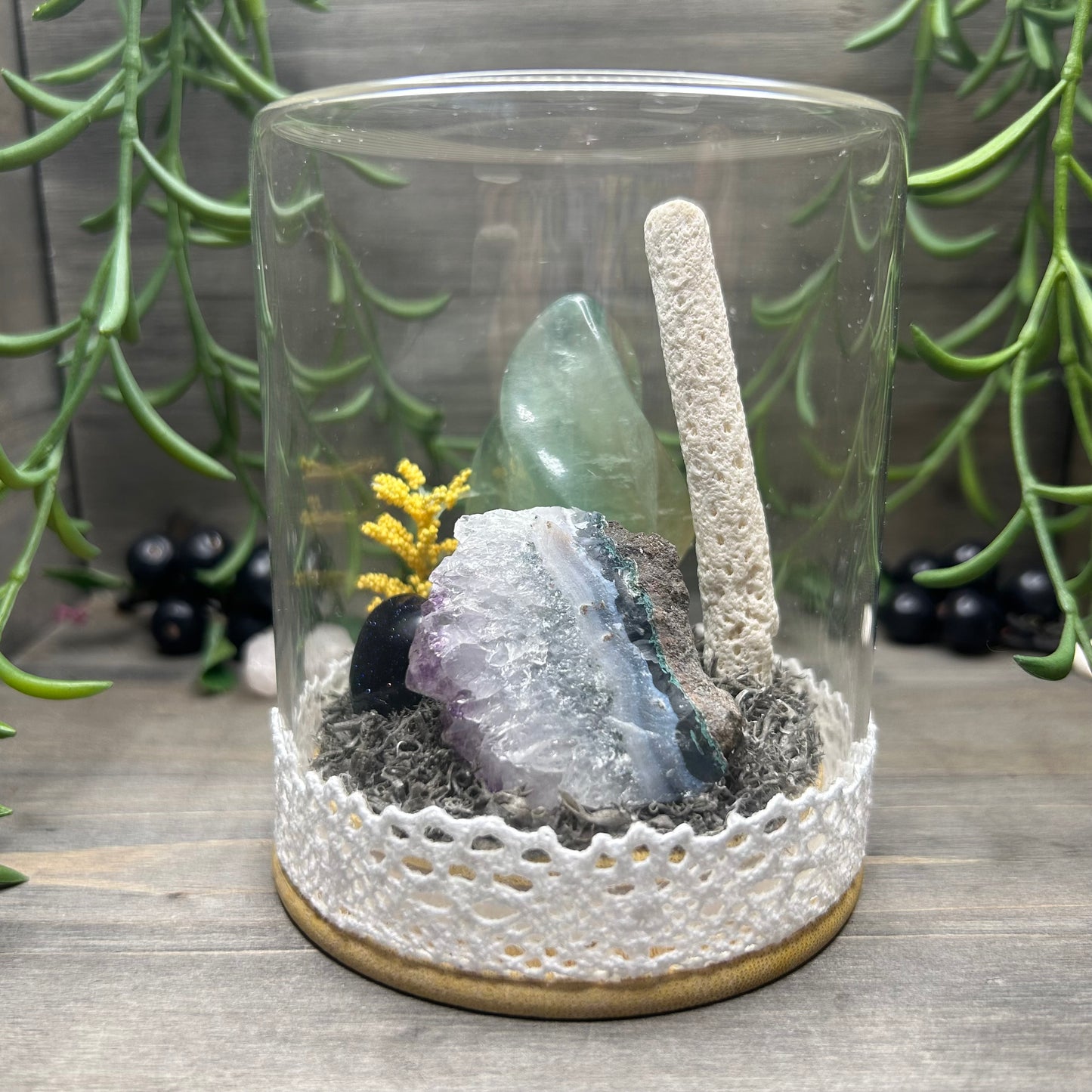 fluorite flame terrarium
