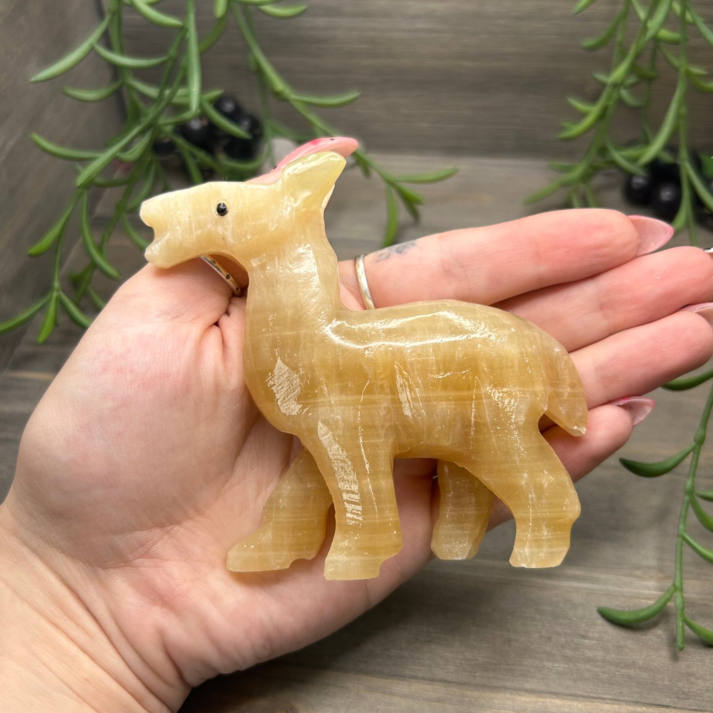 orange calcite llama