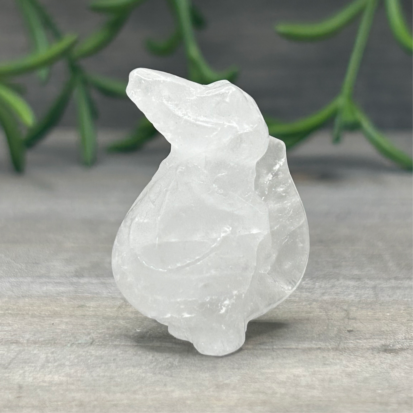 clear quartz alligator