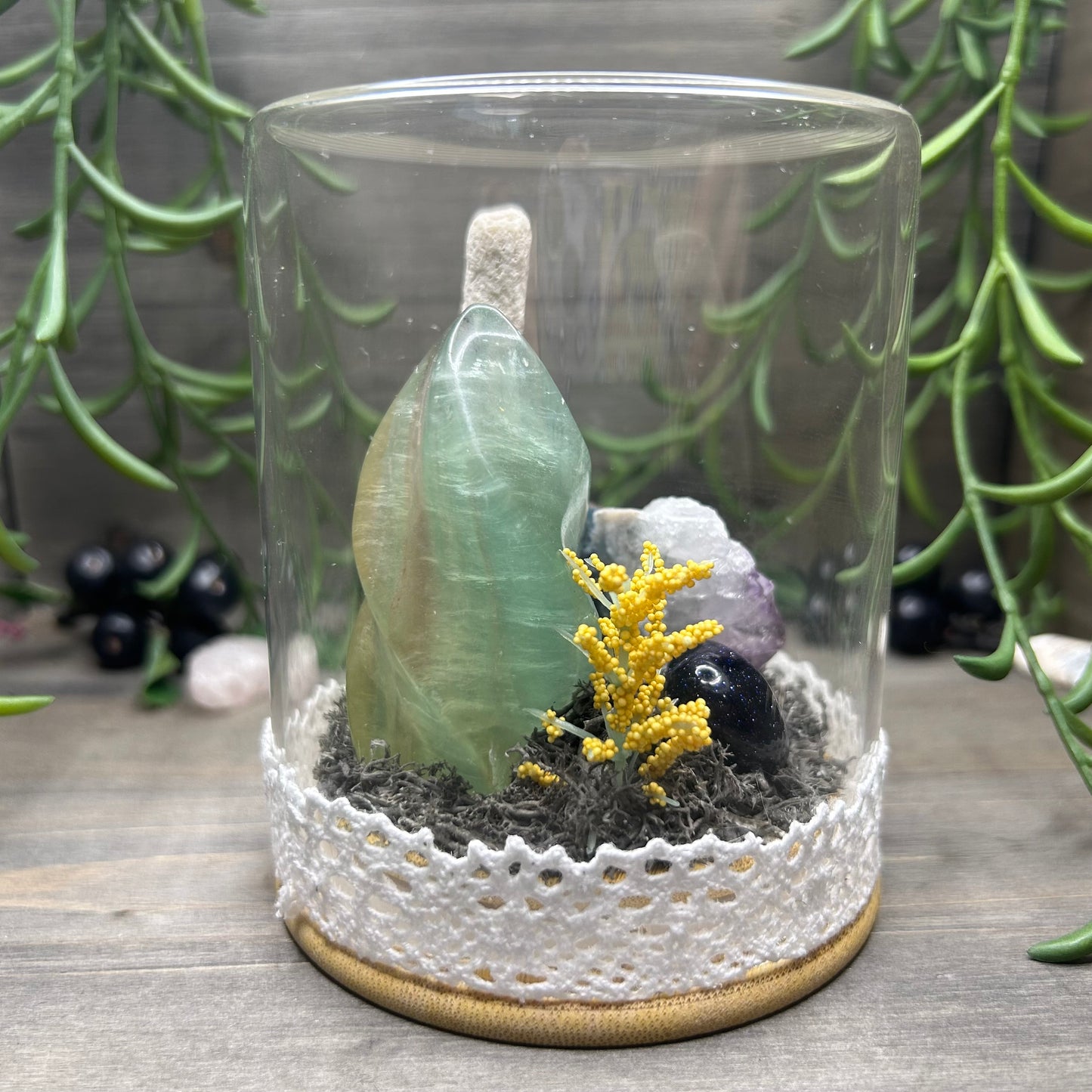 fluorite flame terrarium