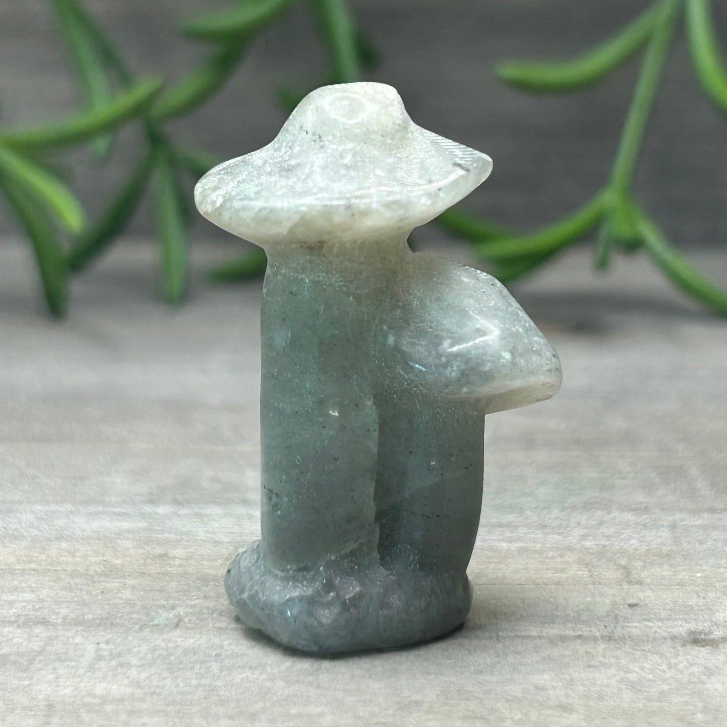 labradorite mushroom