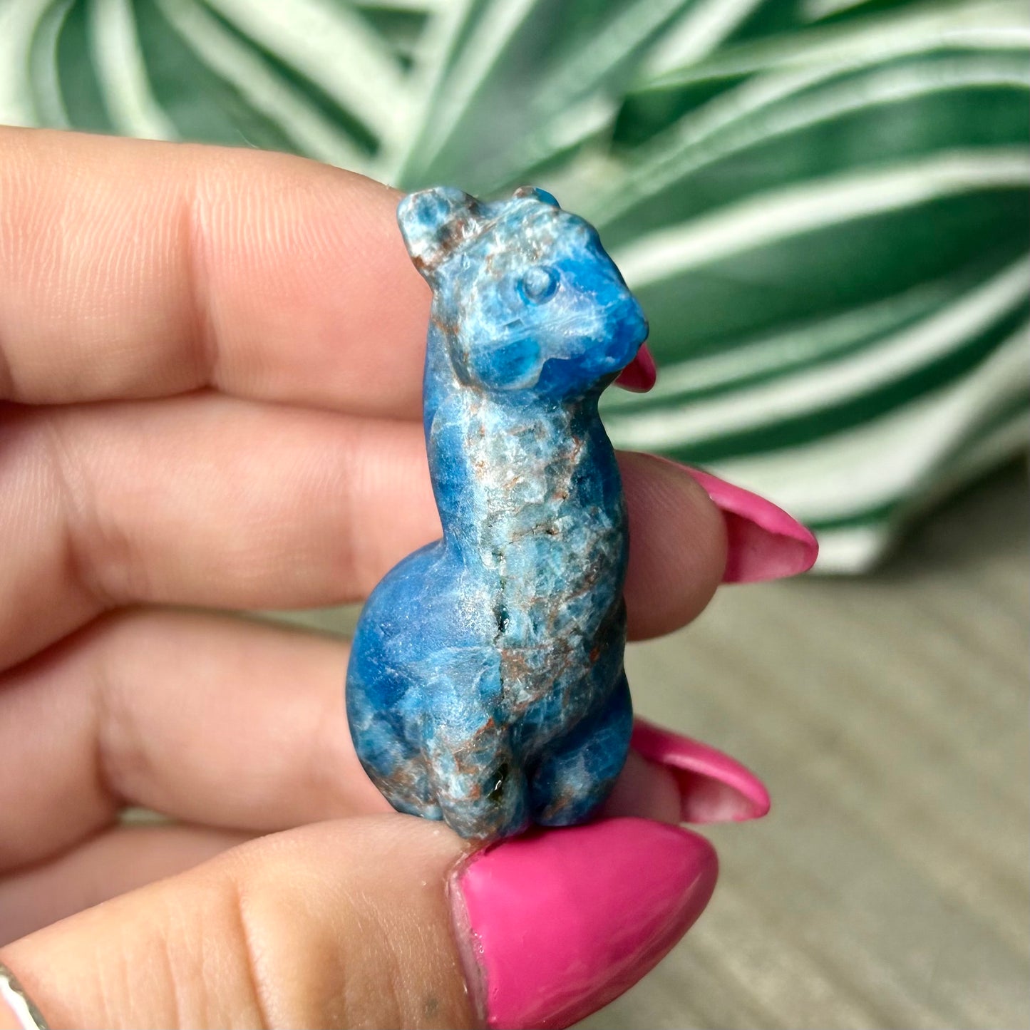 crystal alpaca