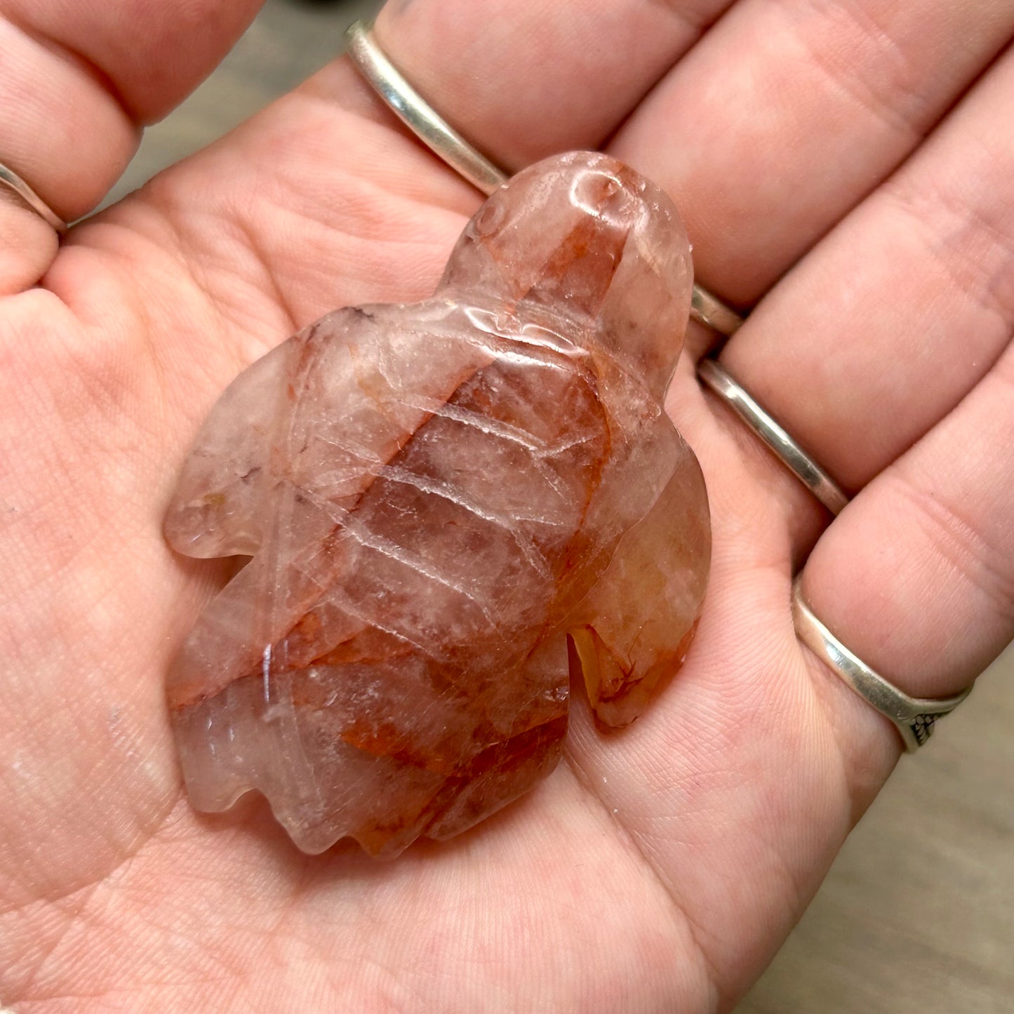 fire quartz turtle