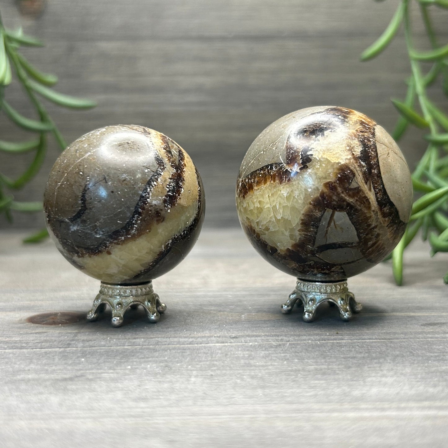 septarian sphere