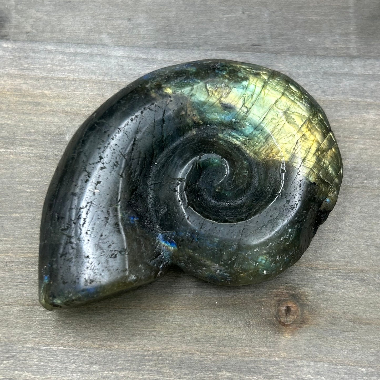 labradorite ammonite