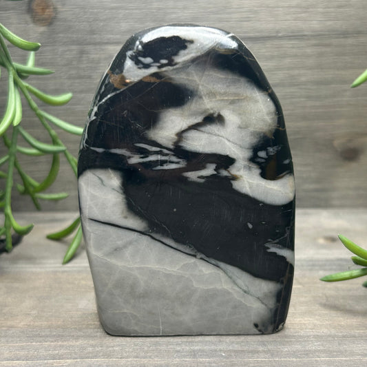 picasso jasper freeform