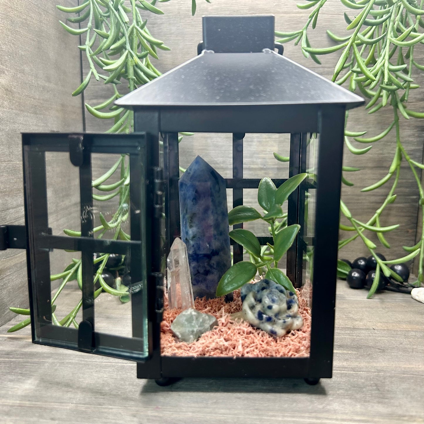 sodalite lantern terrarium