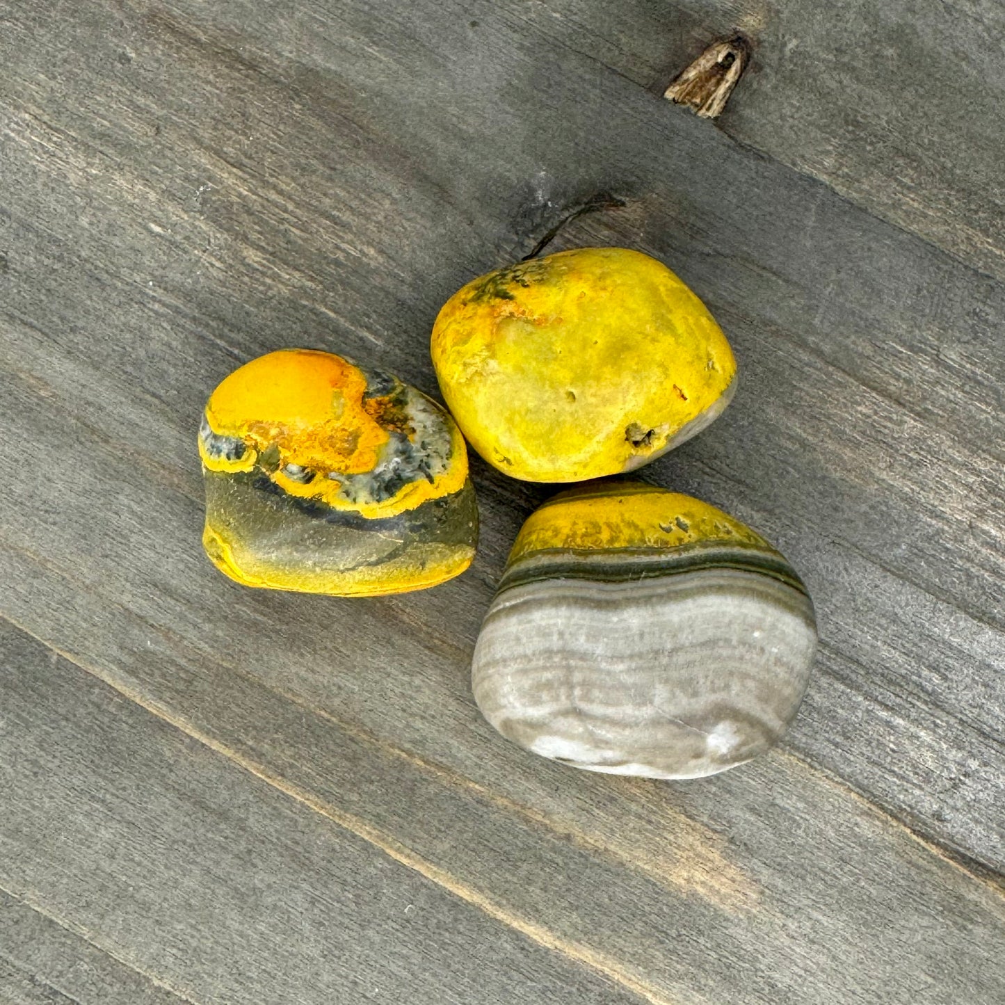 bumblebee jasper tumble