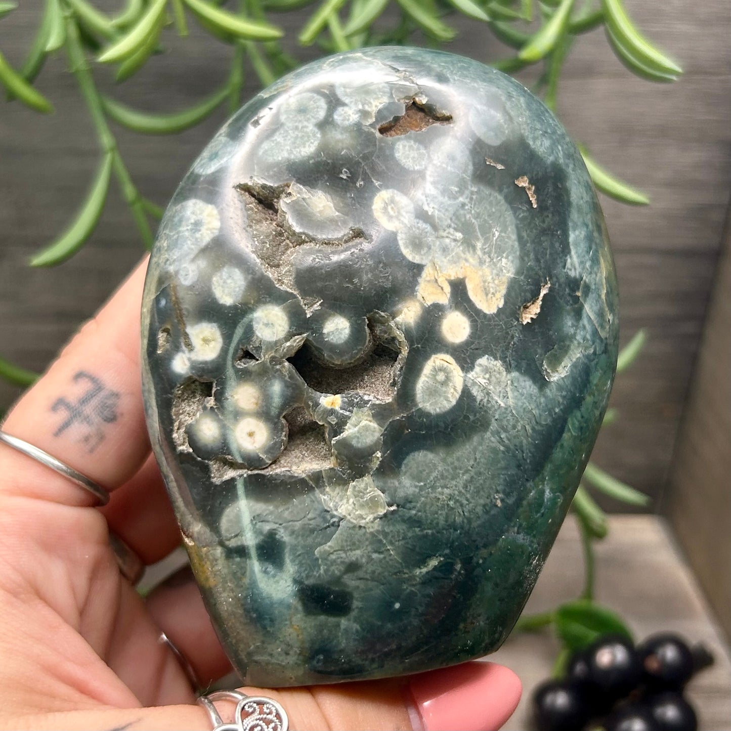 ocean jasper freeform